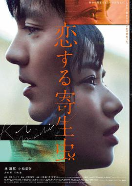 荒野回响 冒险电影在线观看